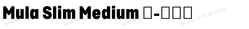 Mula Slim Medium 中字体转换